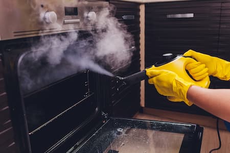 Appliance Steam Cleaning